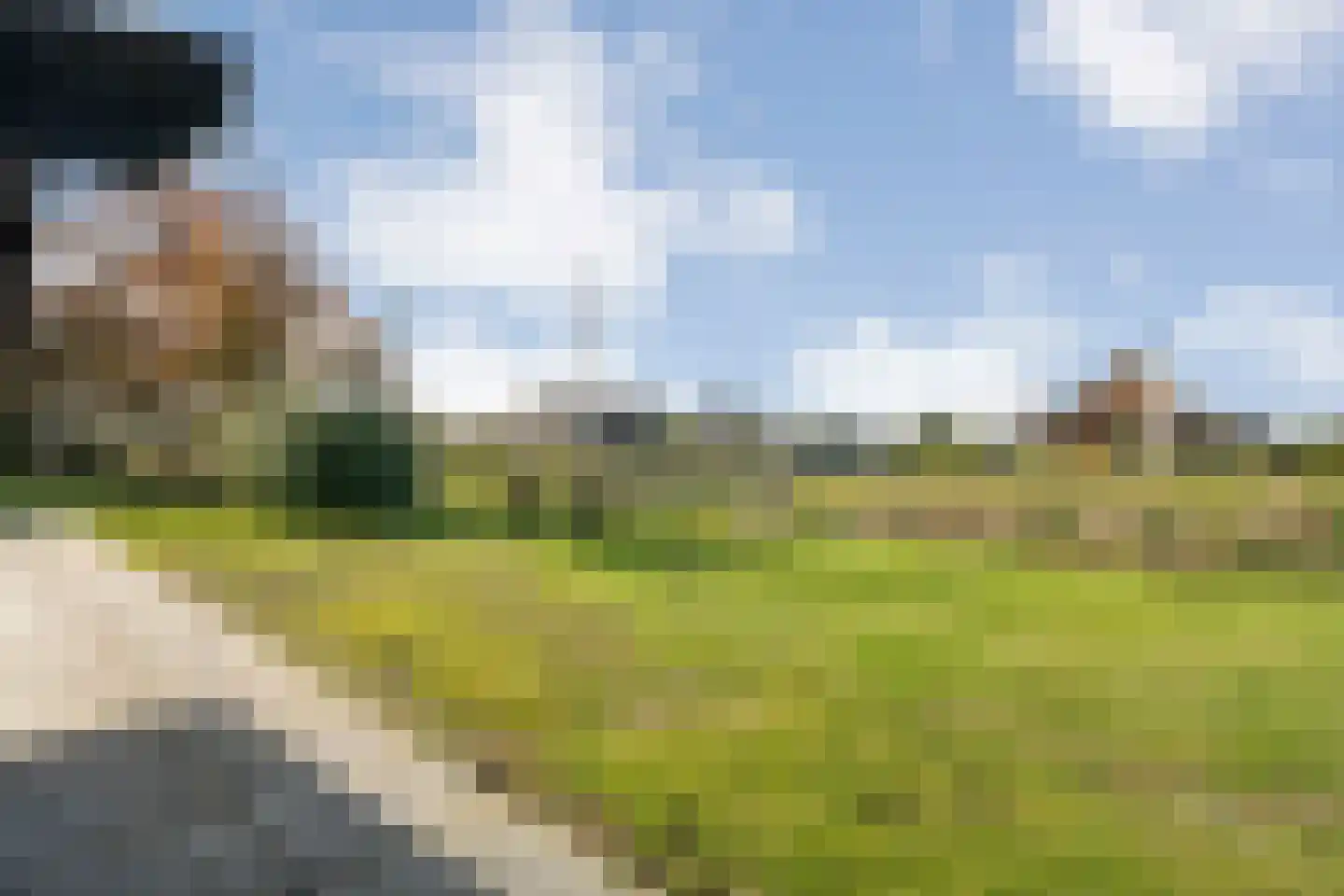 Vosjacht 6 Giethoorn thumbnail 48