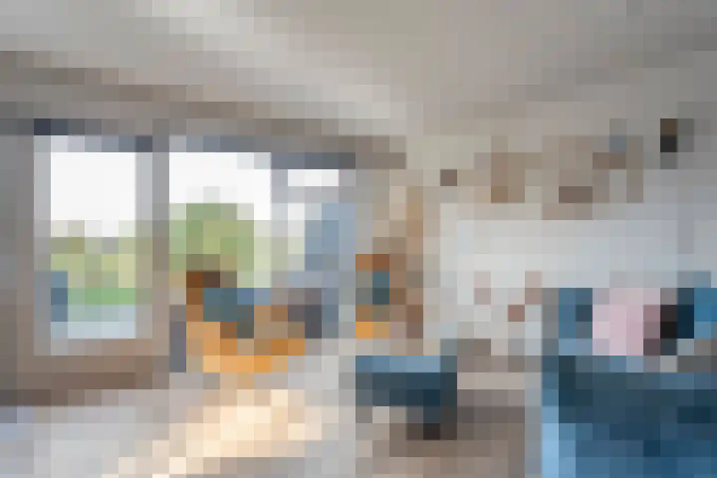 Vosjacht 6 Giethoorn thumbnail 59