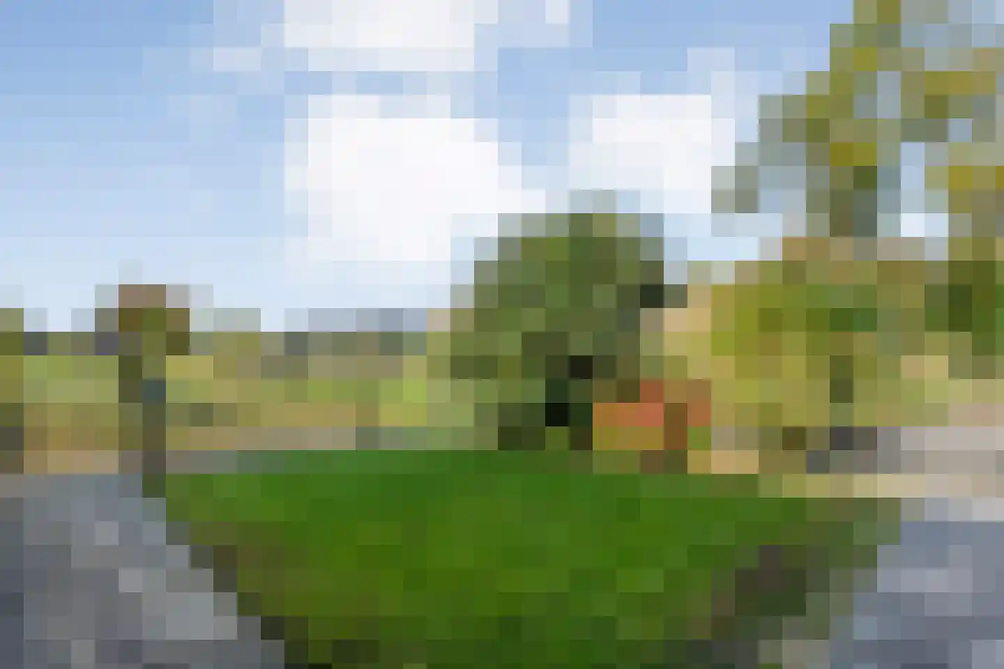 Vosjacht 6 Giethoorn thumbnail 75