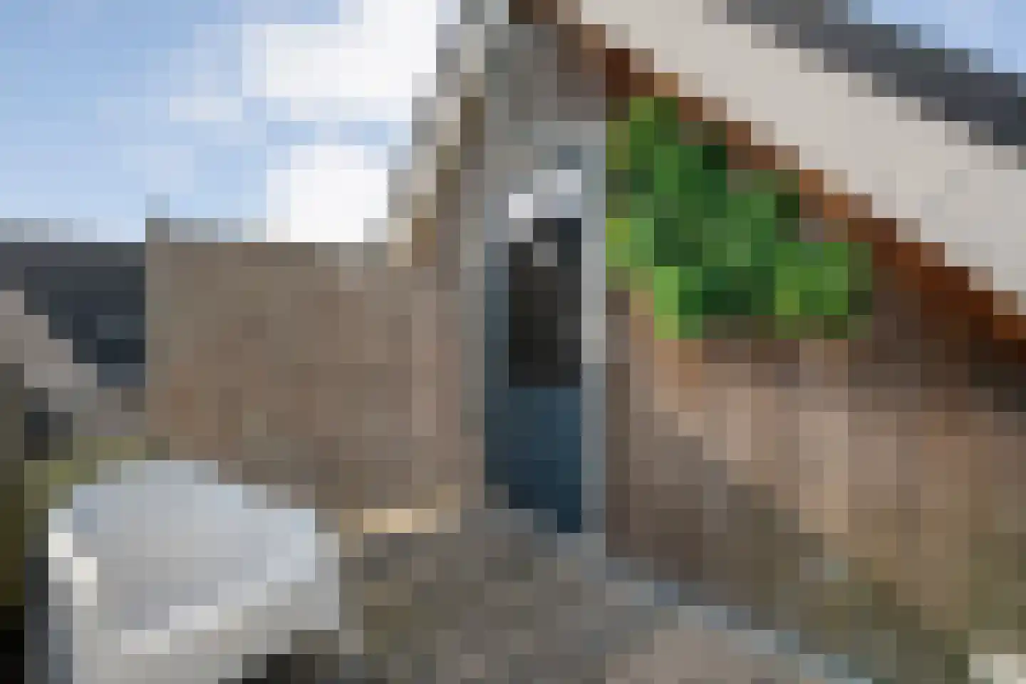 Vosjacht 6 Giethoorn thumbnail 82