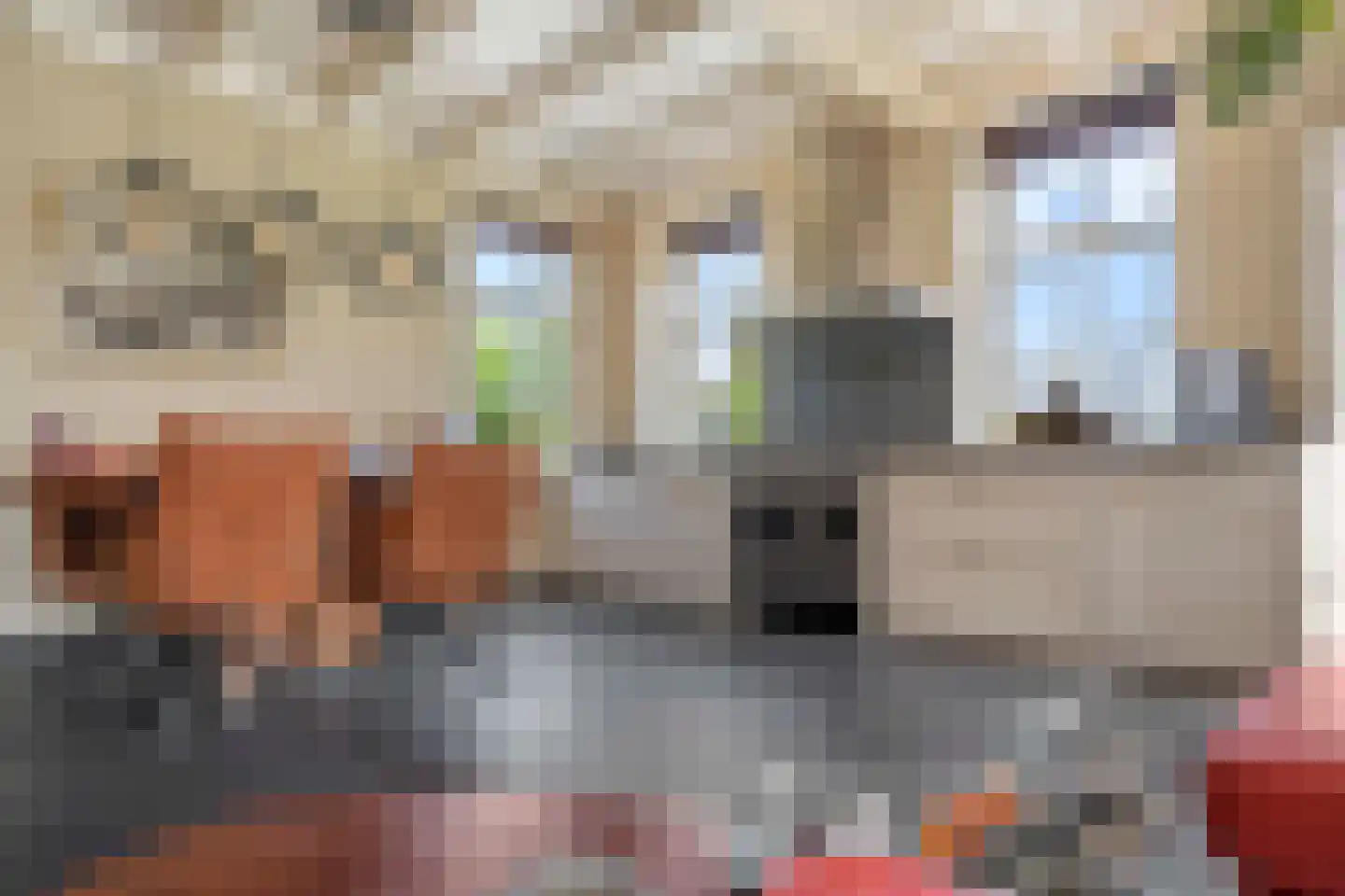 Vosjacht 8 Giethoorn thumbnail 17