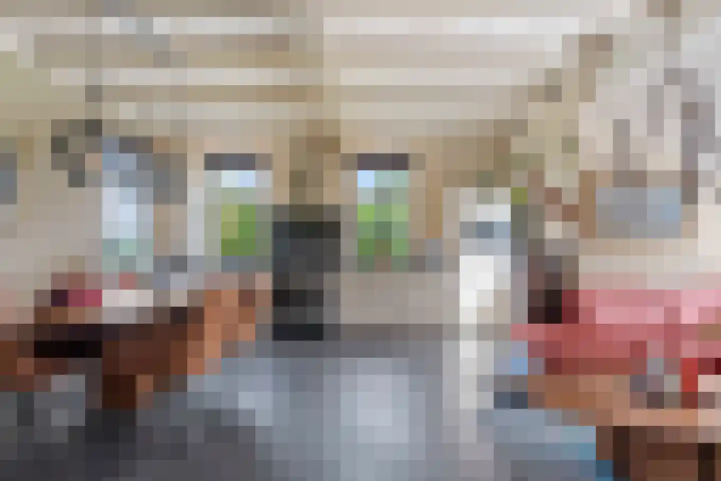 Vosjacht 8 Giethoorn thumbnail 18