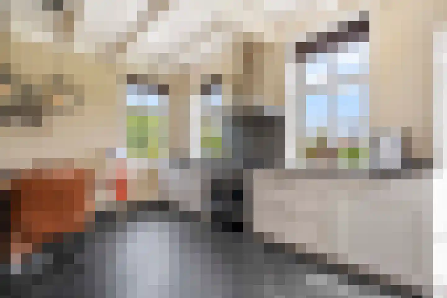 Vosjacht 8 Giethoorn thumbnail 20