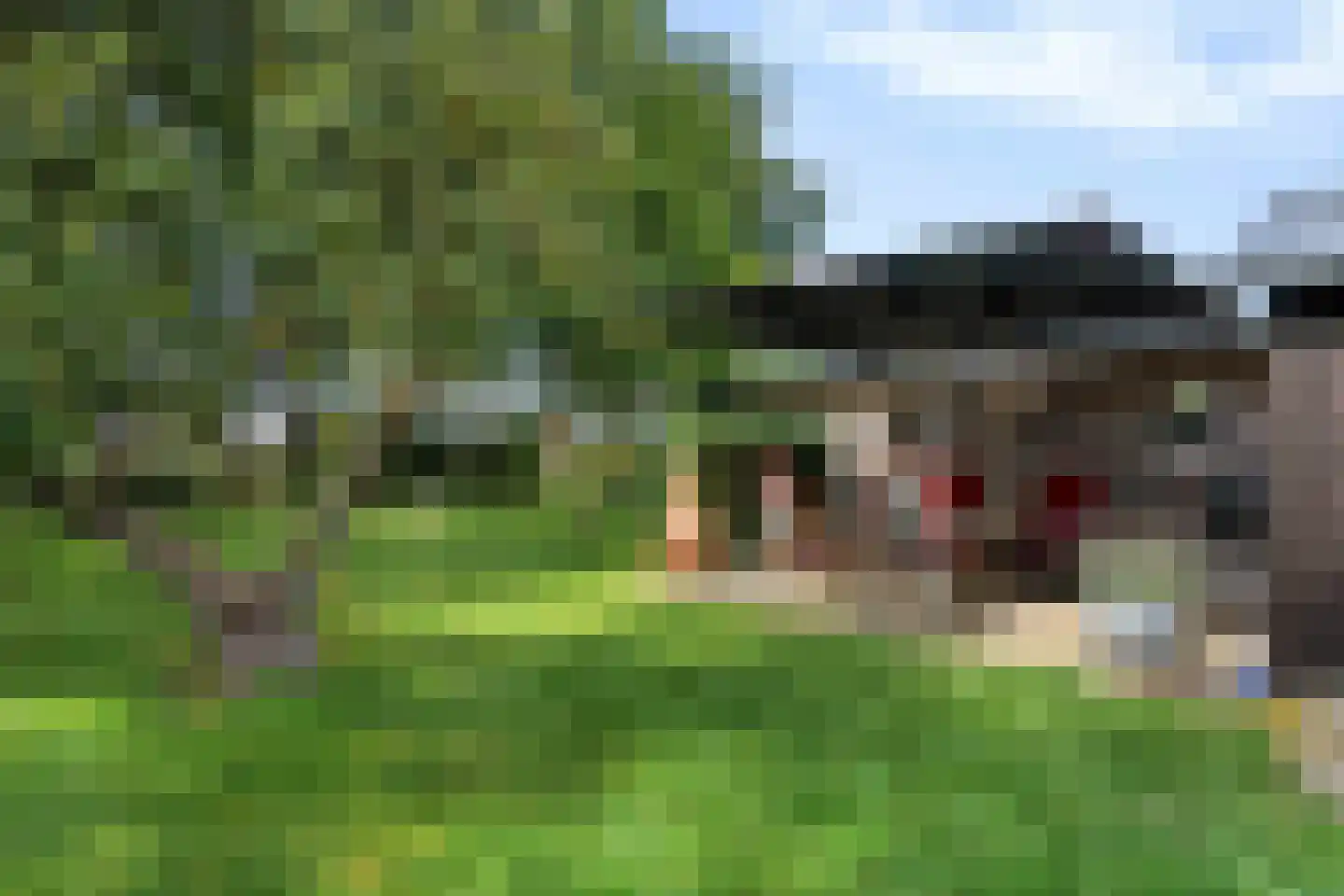Vosjacht 8 Giethoorn thumbnail 43