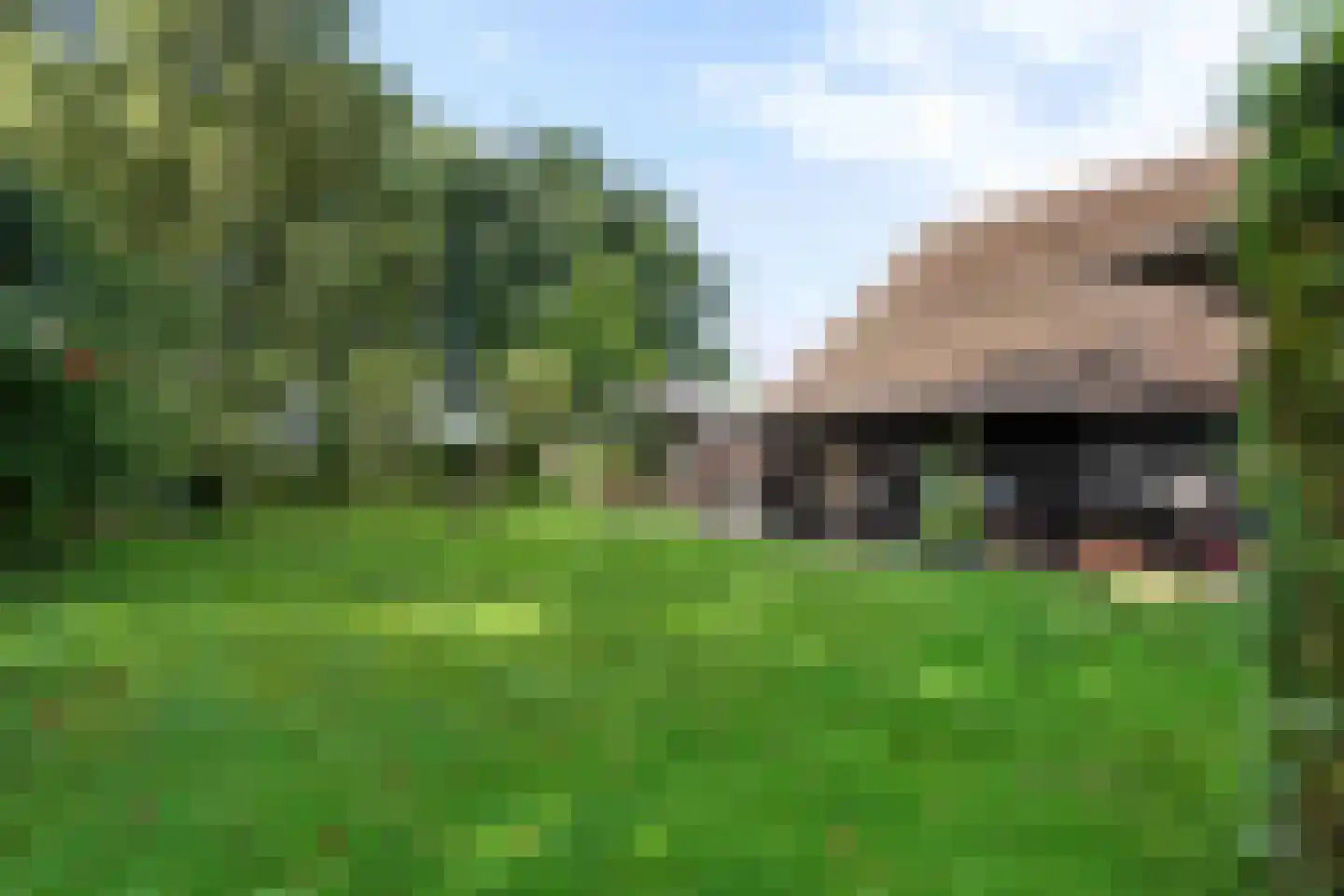 Vosjacht 8 Giethoorn thumbnail 45