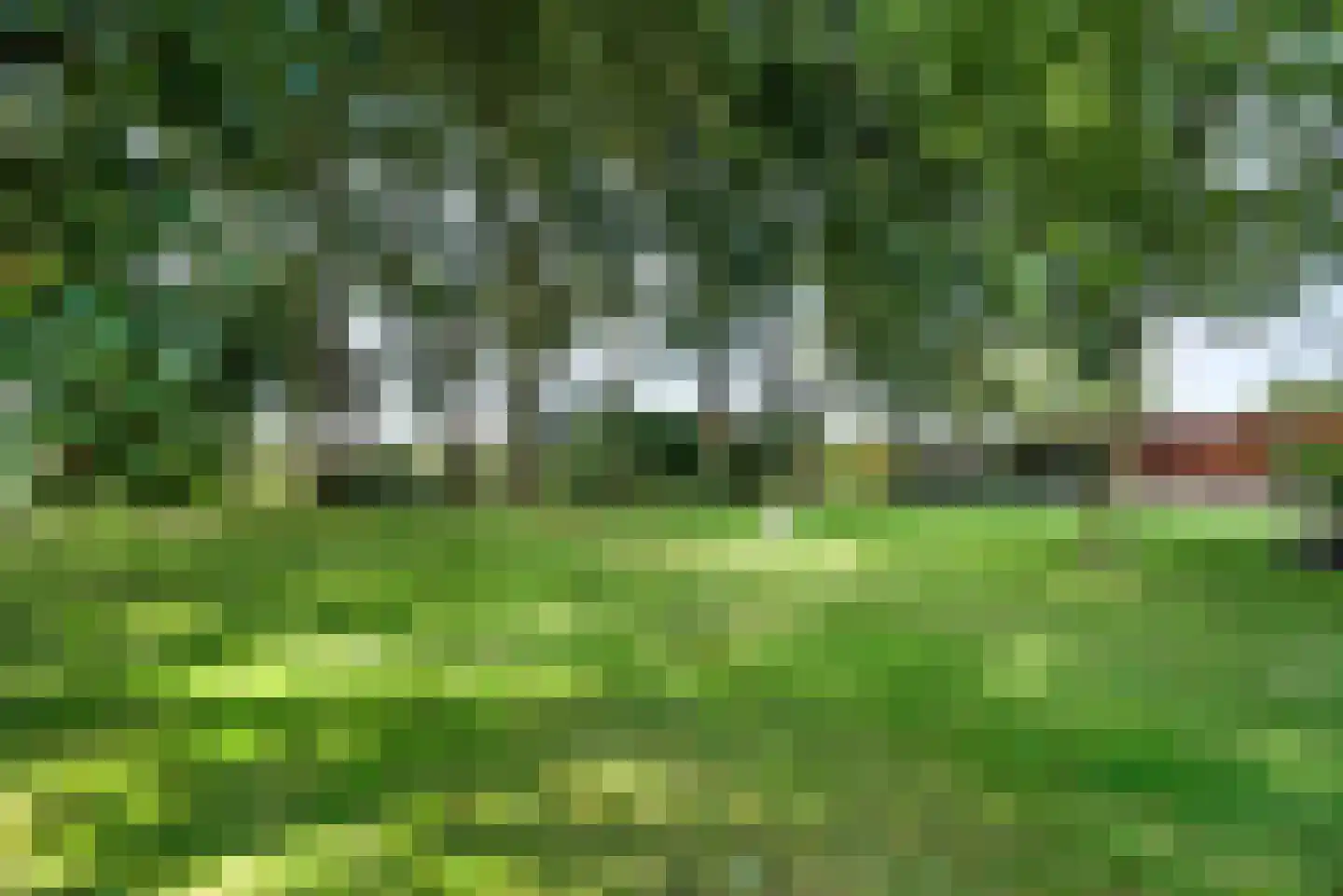Vosjacht 8 Giethoorn thumbnail 46