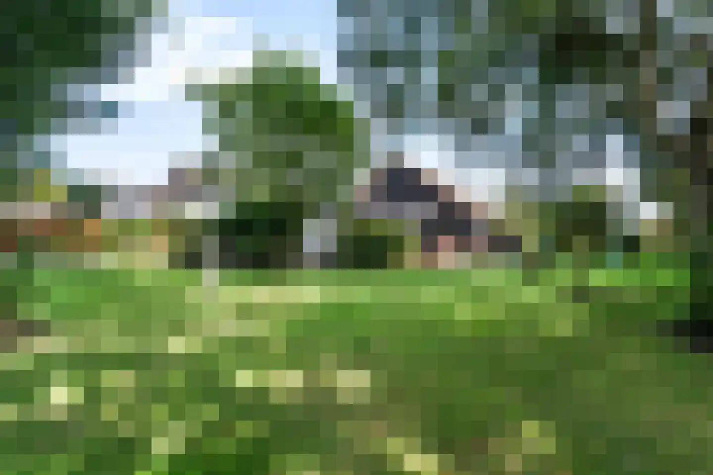 Vosjacht 8 Giethoorn thumbnail 47