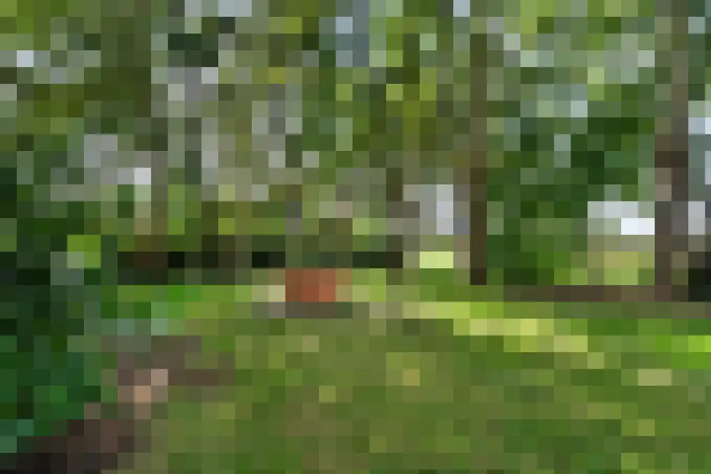 Vosjacht 8 Giethoorn thumbnail 48
