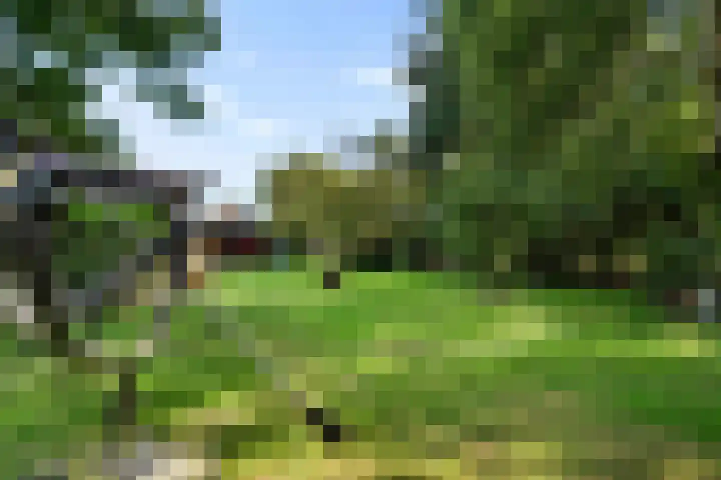 Vosjacht 8 Giethoorn thumbnail 5