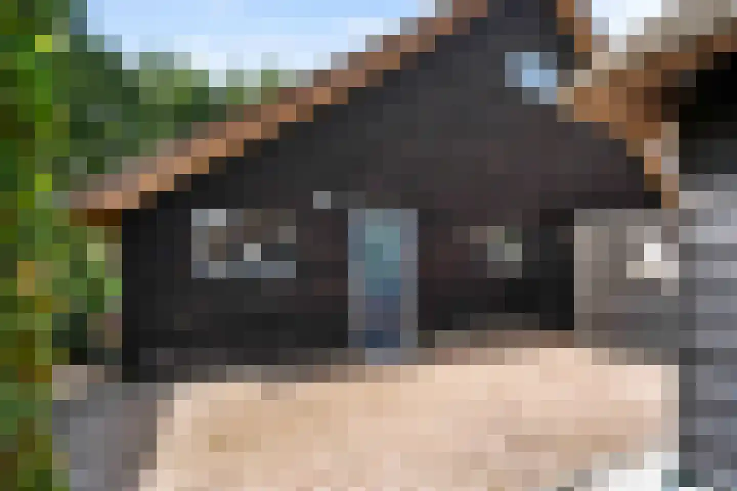 Vosjacht 8 Giethoorn thumbnail 52