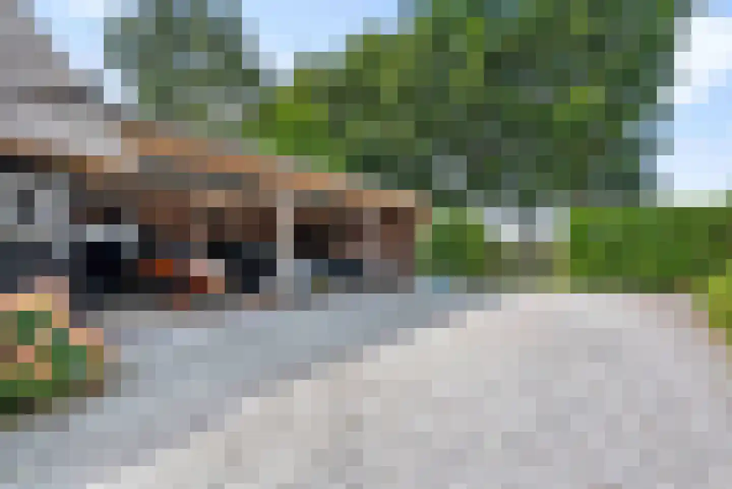 Vosjacht 8 Giethoorn thumbnail 55