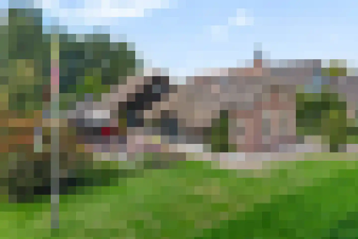 Vosjacht 8 Giethoorn thumbnail 6