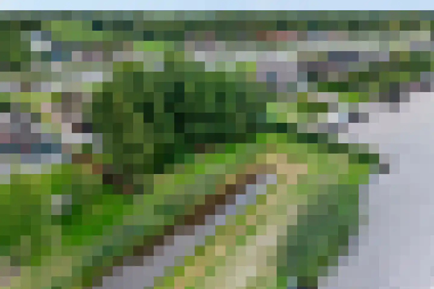 Vosjacht 8 Giethoorn thumbnail 62