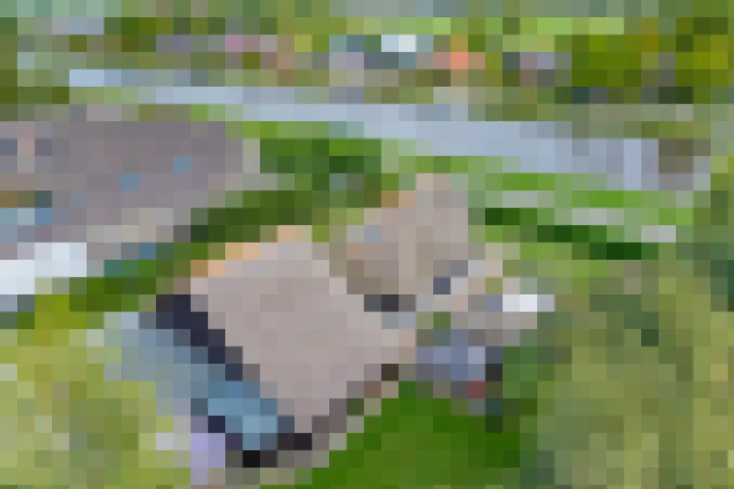 Vosjacht 8 Giethoorn thumbnail 63