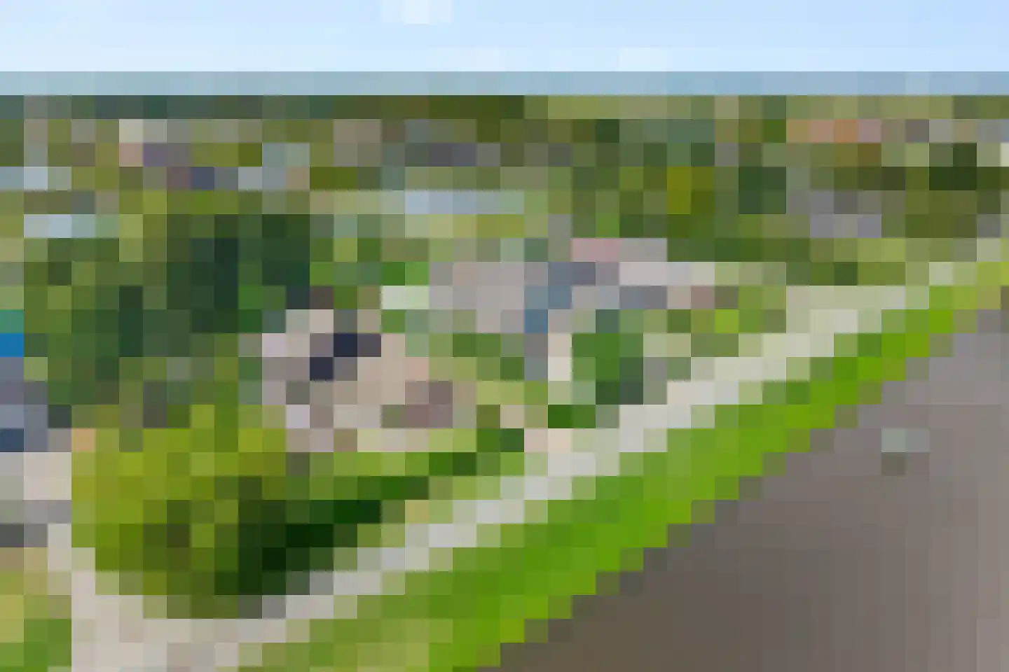 Vosjacht 8 Giethoorn thumbnail 64