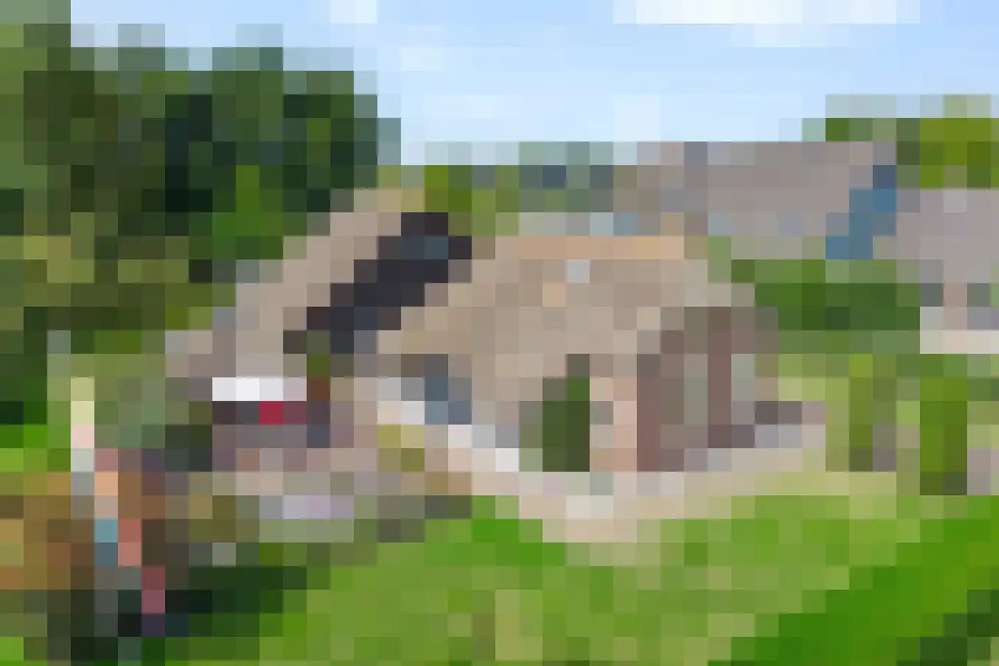Vosjacht 8 Giethoorn thumbnail 66