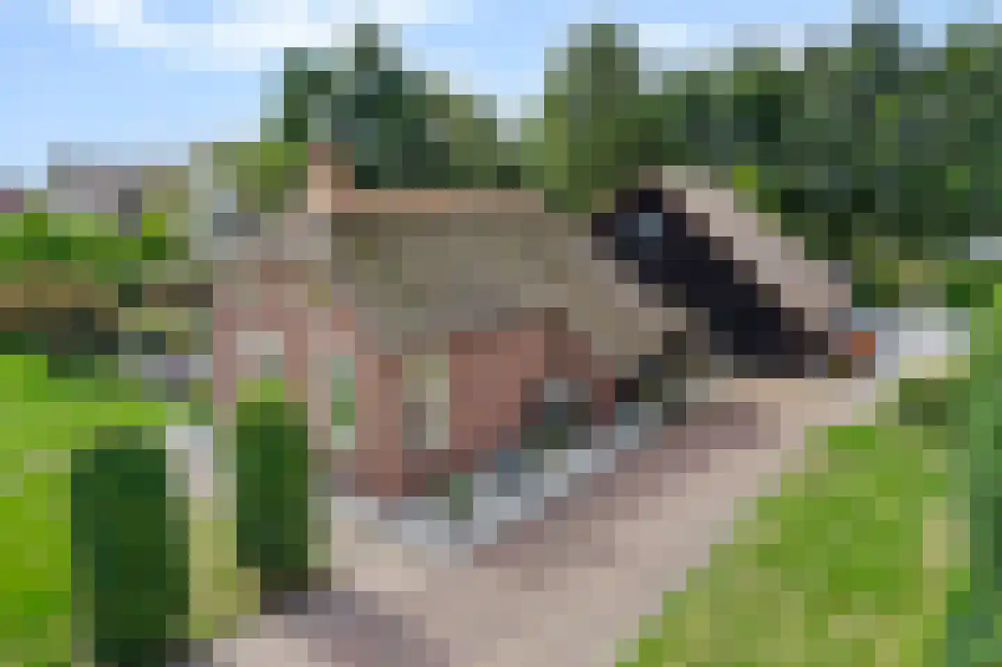 Vosjacht 8 Giethoorn thumbnail 68