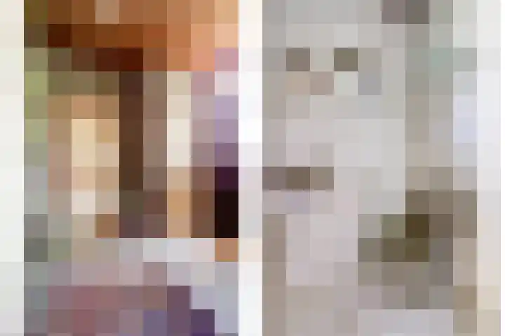 Voskeschedwarsstraat 2 Velp thumbnail 12