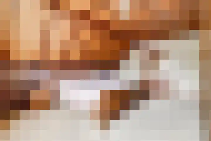 Voskeschedwarsstraat 2 Velp thumbnail 30