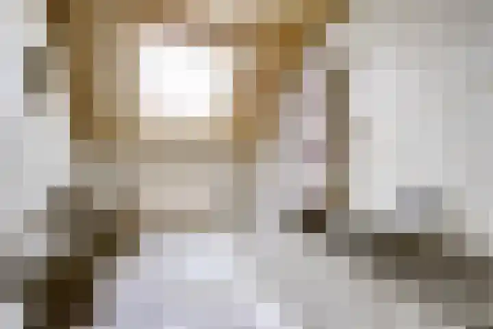 Voskeschedwarsstraat 2 Velp thumbnail 33