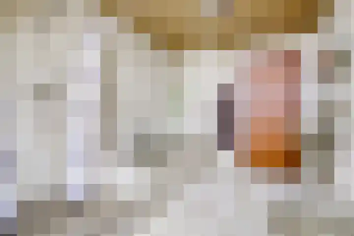 Voskeschedwarsstraat 2 Velp thumbnail 34
