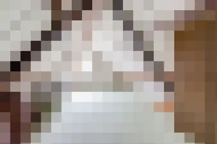 Voskeschedwarsstraat 2 Velp thumbnail 35
