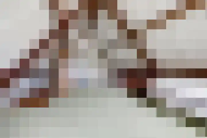 Voskeschedwarsstraat 2 Velp thumbnail 36