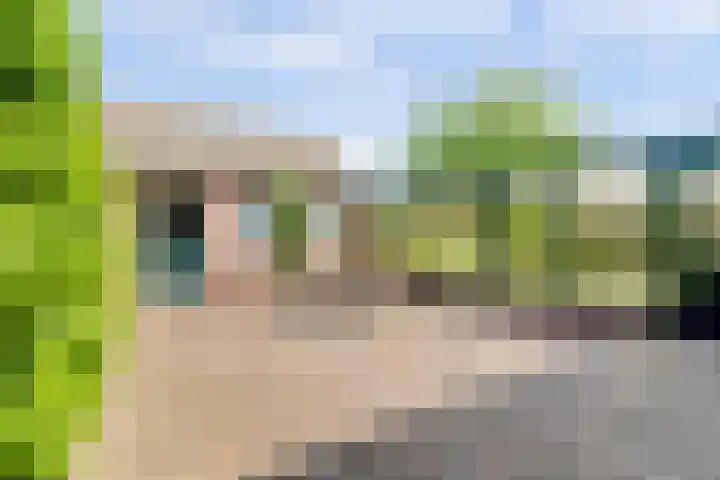 Voskeschedwarsstraat 2 Velp thumbnail 37