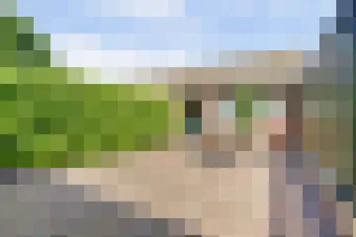 Voskeschedwarsstraat 2 Velp thumbnail 38