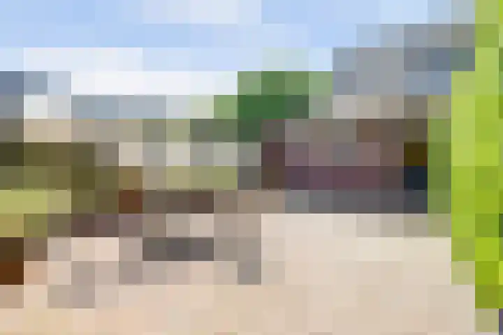 Voskeschedwarsstraat 2 Velp thumbnail 39