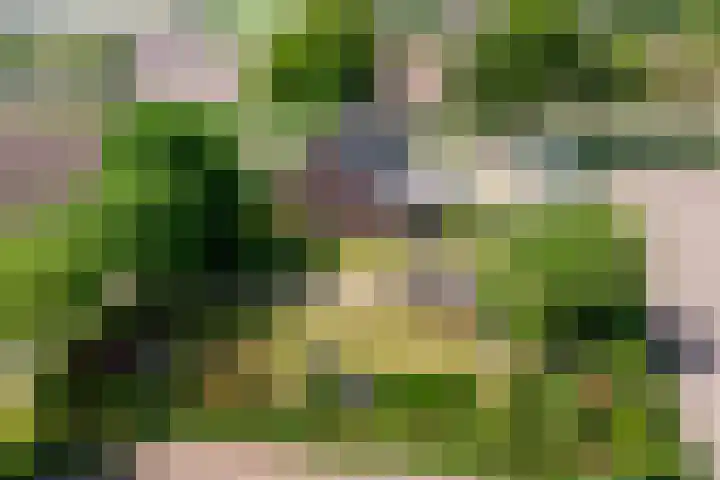 Voskeschedwarsstraat 2 Velp thumbnail 4