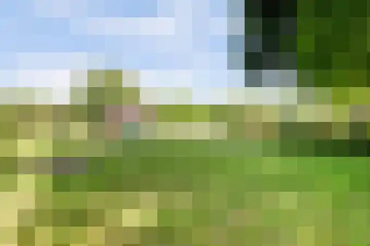 Voskeschedwarsstraat 2 Velp thumbnail 44