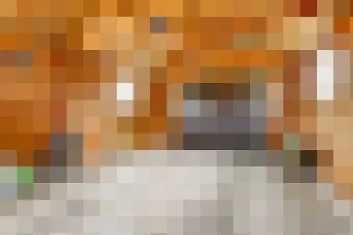 Voskeschedwarsstraat 2 Velp thumbnail 47