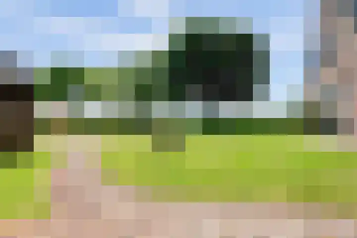 Voskeschedwarsstraat 2 Velp thumbnail 48