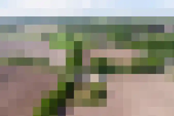 Voskeschedwarsstraat 2 Velp thumbnail 5