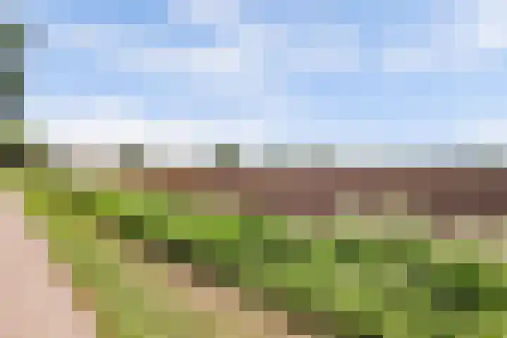 Voskeschedwarsstraat 2 Velp thumbnail 50