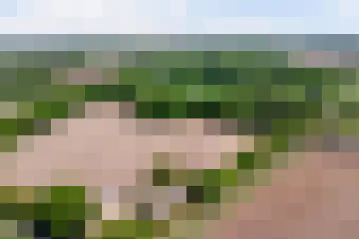 Voskeschedwarsstraat 2 Velp thumbnail 6