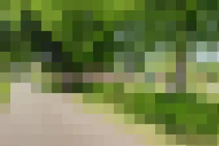 Voskeschedwarsstraat 2 Velp thumbnail 8