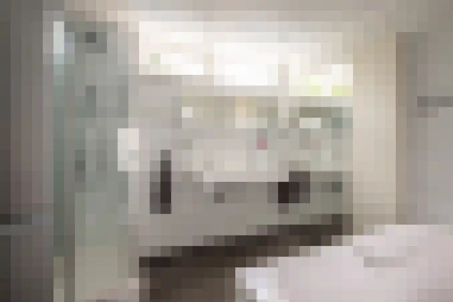 Voskuilenweg 42 Heerlen thumbnail 10