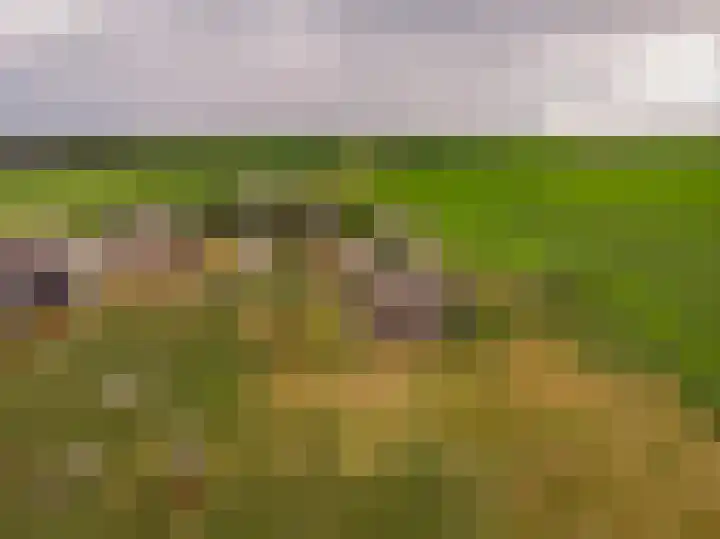 Voskuilerdijk 60 Hattemerbroek thumbnail 10
