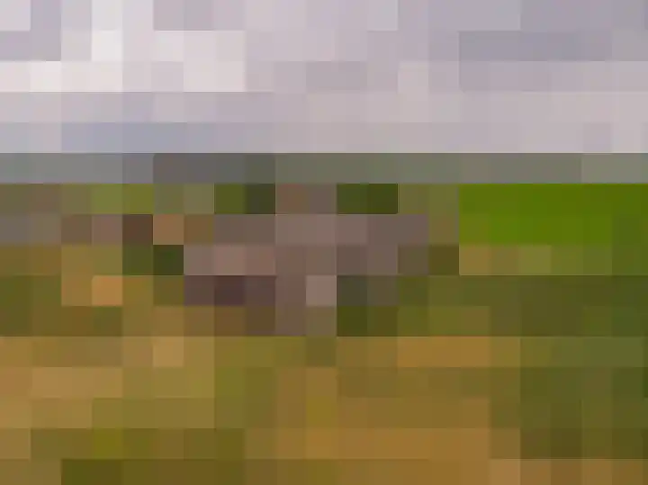 Voskuilerdijk 60 Hattemerbroek thumbnail 11