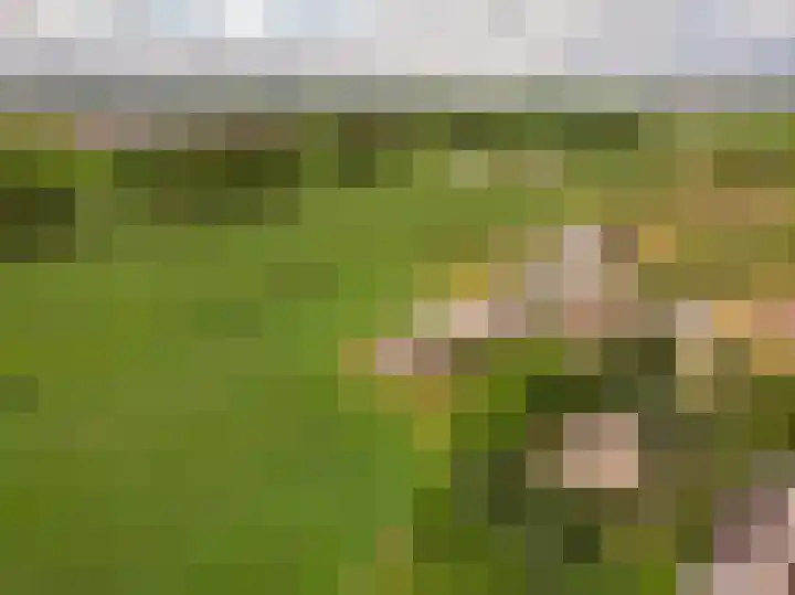 Voskuilerdijk 60 Hattemerbroek thumbnail 4