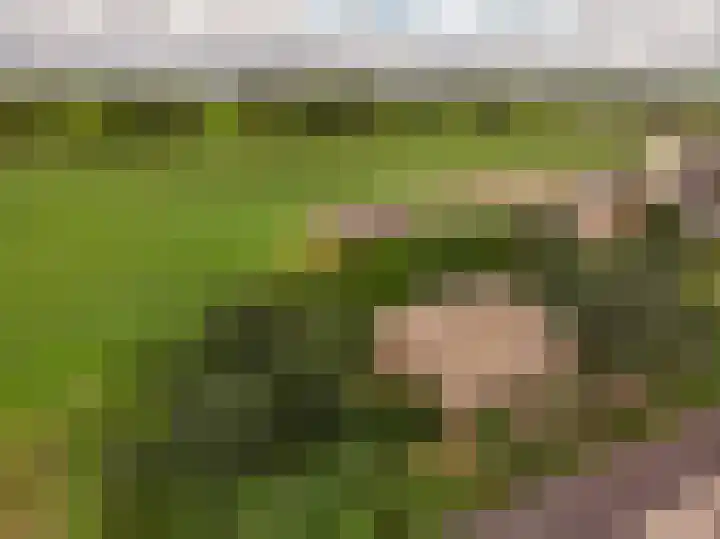 Voskuilerdijk 60 Hattemerbroek thumbnail 5
