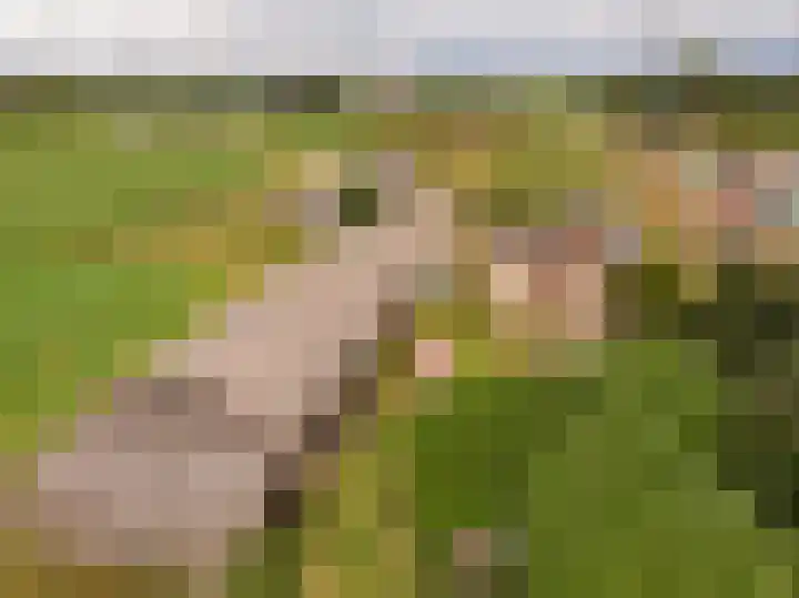 Voskuilerdijk 60 Hattemerbroek thumbnail 6