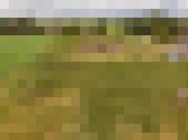 Voskuilerdijk 60 Hattemerbroek thumbnail 7