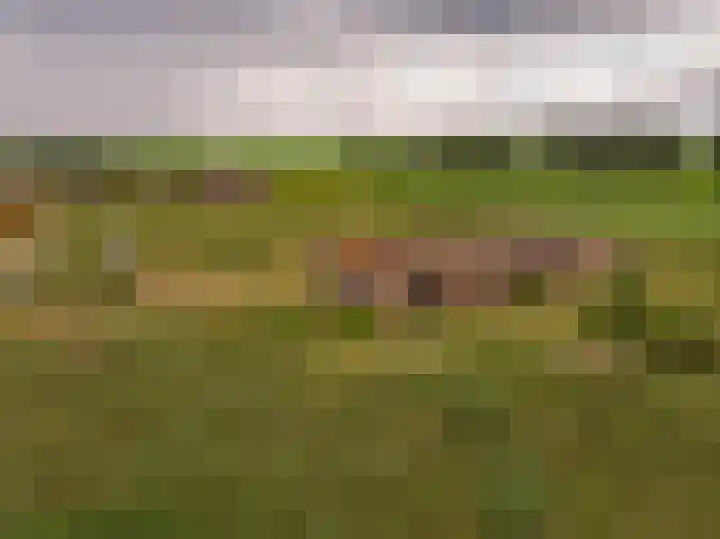 Voskuilerdijk 60 Hattemerbroek thumbnail 8
