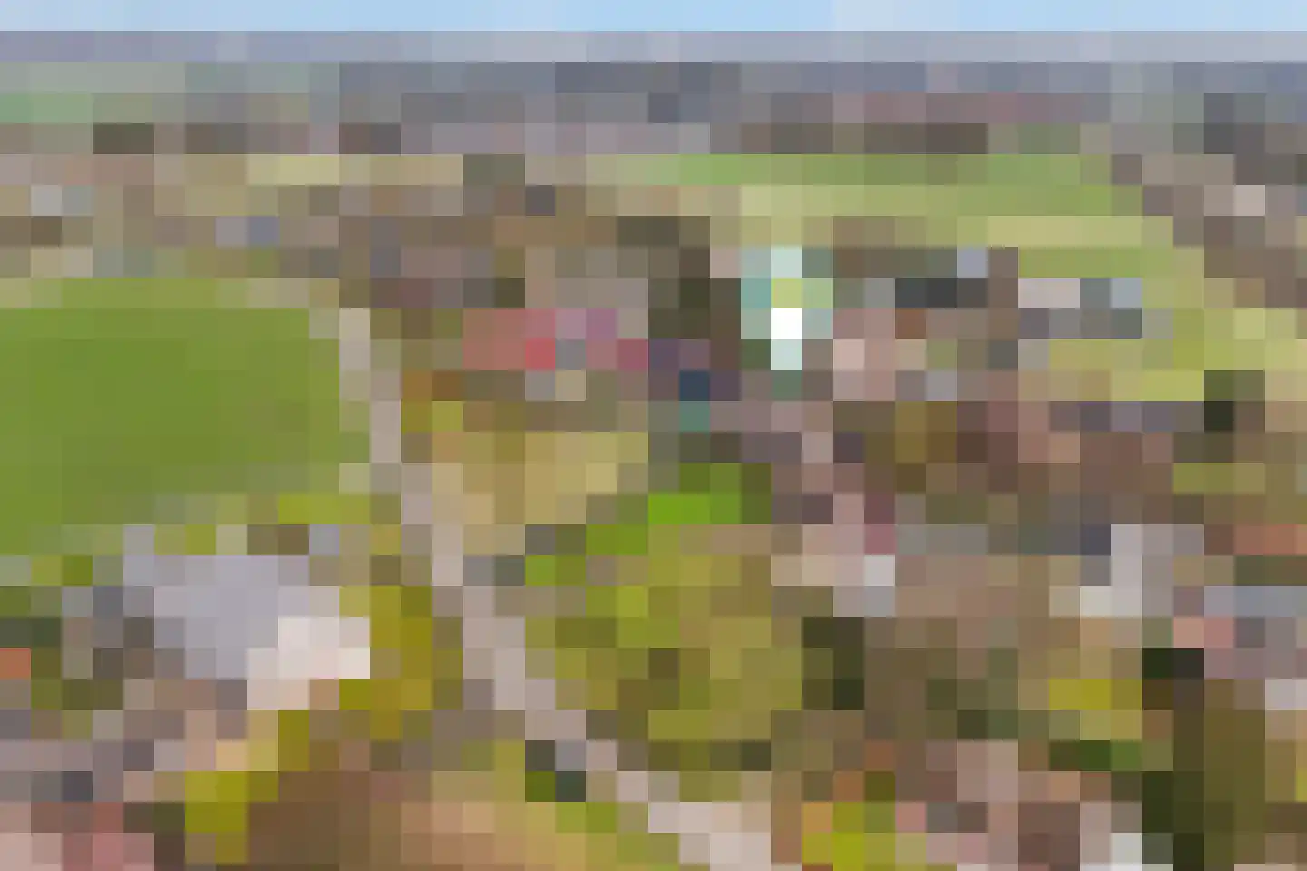 Voskuilersteeg 14 A Hattemerbroek thumbnail 6