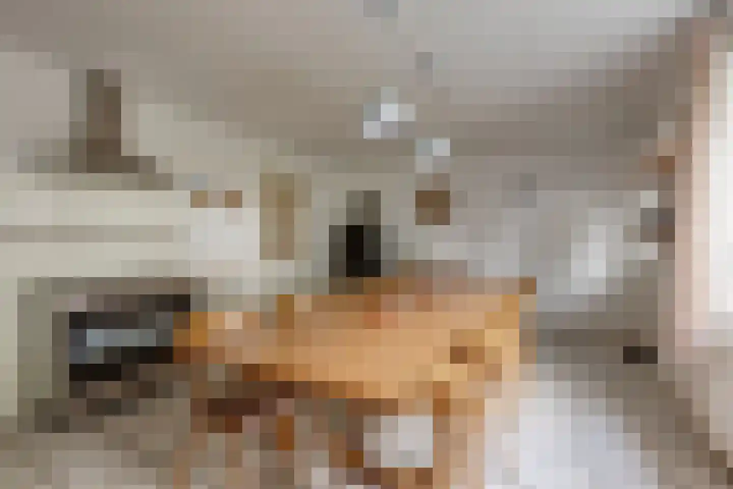Voskuilweg 2 Winterswijk Miste thumbnail 10