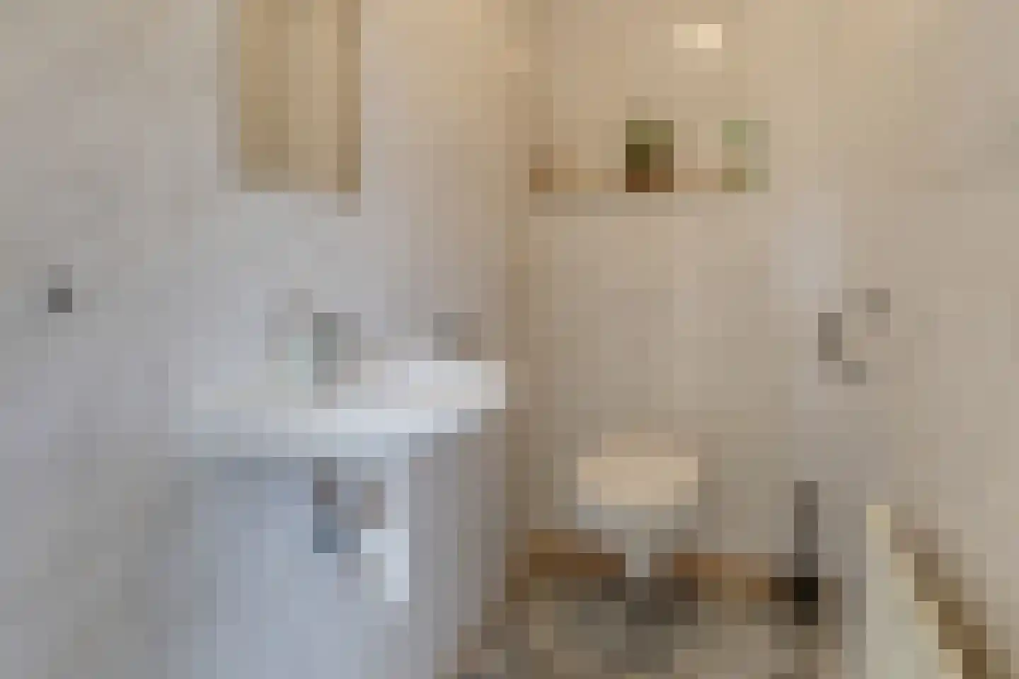 Voskuilweg 2 Winterswijk Miste thumbnail 122