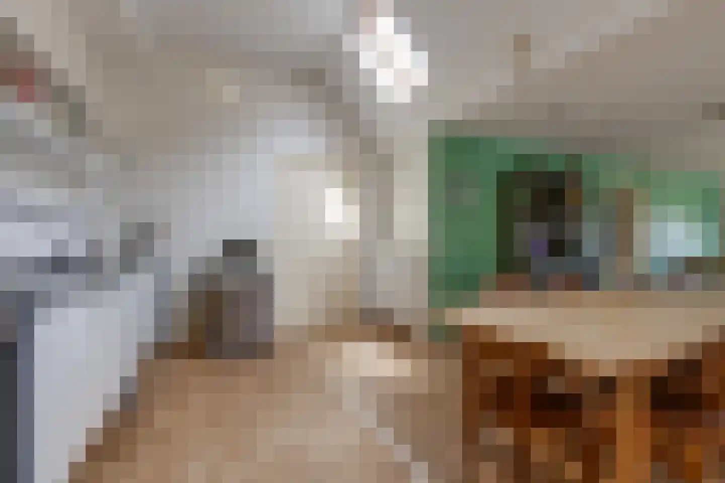 Voskuilweg 2 Winterswijk Miste thumbnail 131